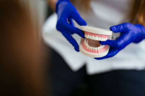 Professional Holistic Dental Care Services in Irwin, PA